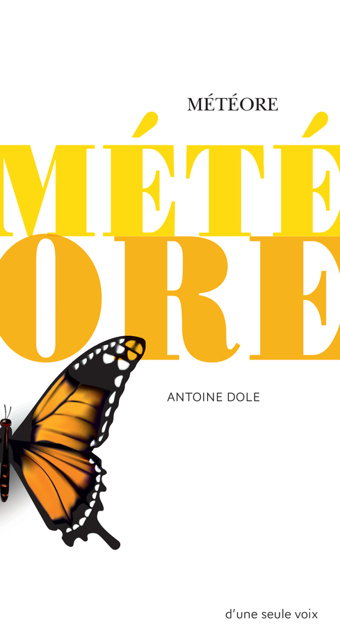 [9782330130367] Météore