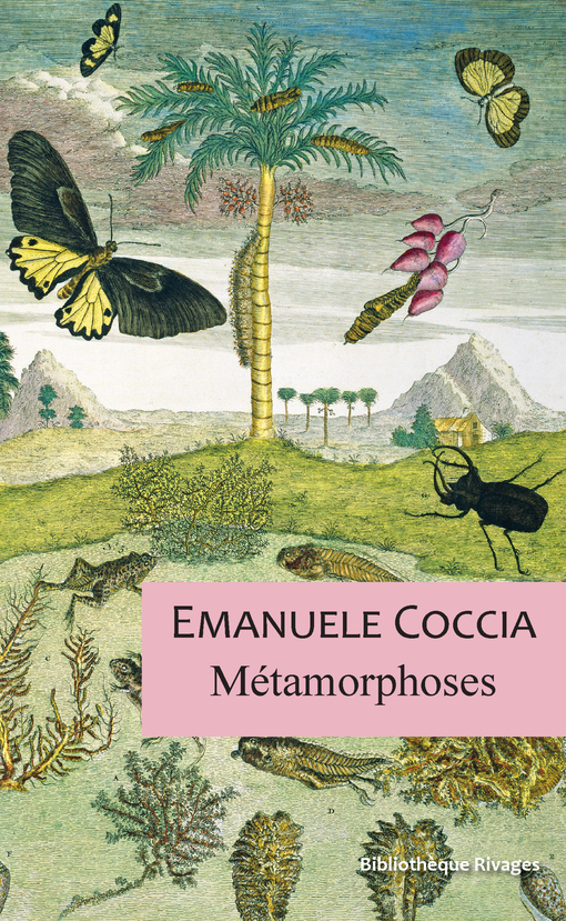 [9782743647346] Métamorphoses