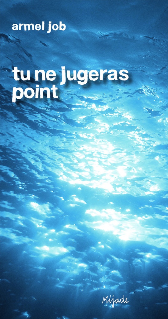 Tu ne jugeras point - roman