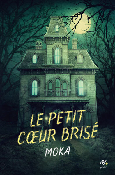 [9782211251525] Le petit coeur brisé