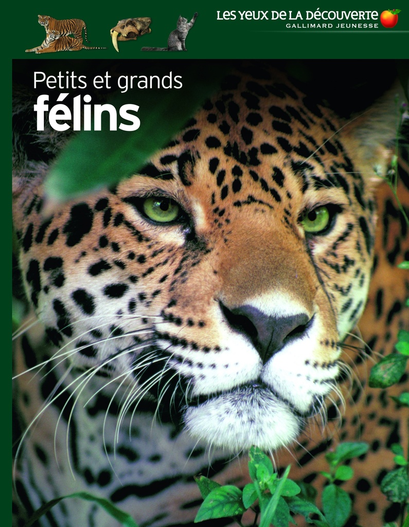 [9782075122450] Petits et grands félins