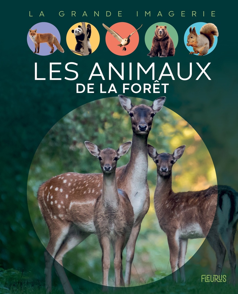 [9782215164722] Les animaux de la forêt