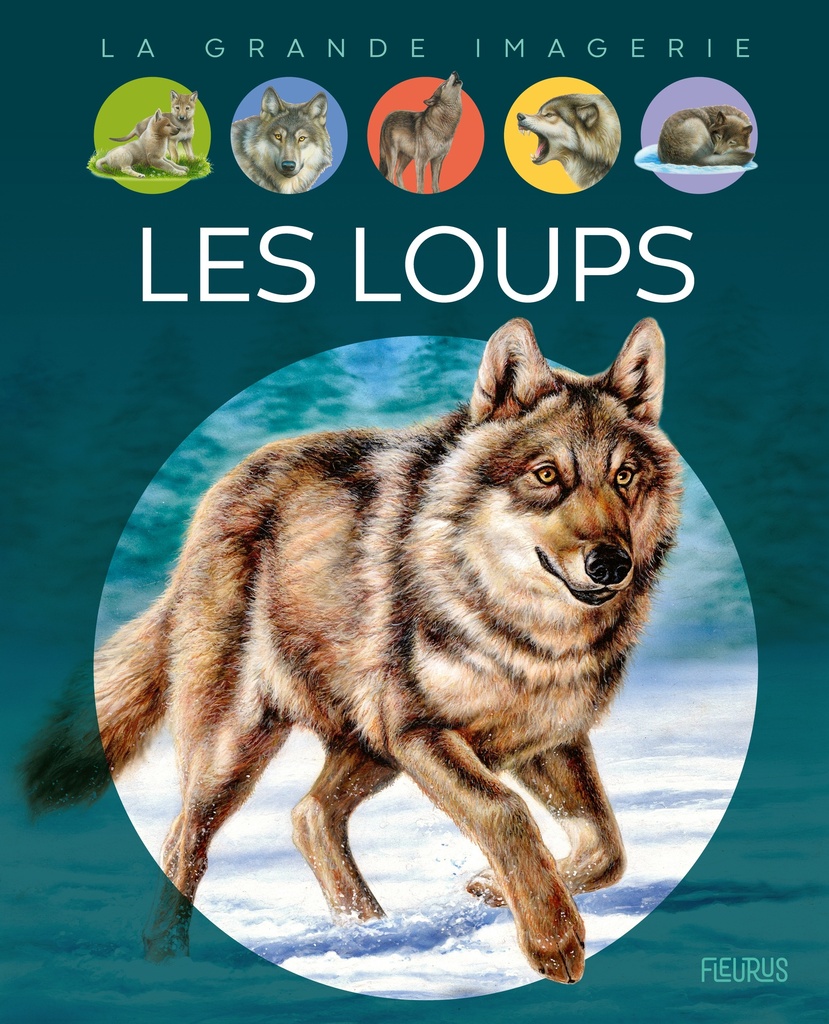 [9782215174882] Les loups