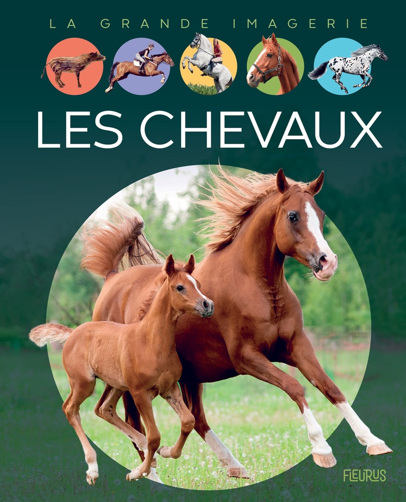 [9782215164746] Les chevaux