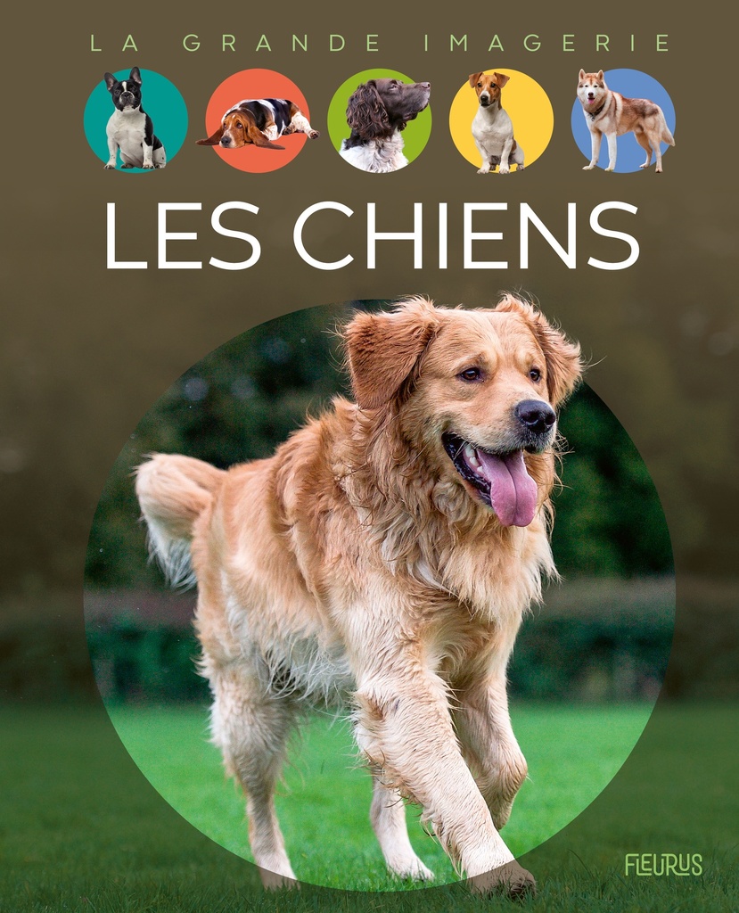 [9782215158080] Les chiens