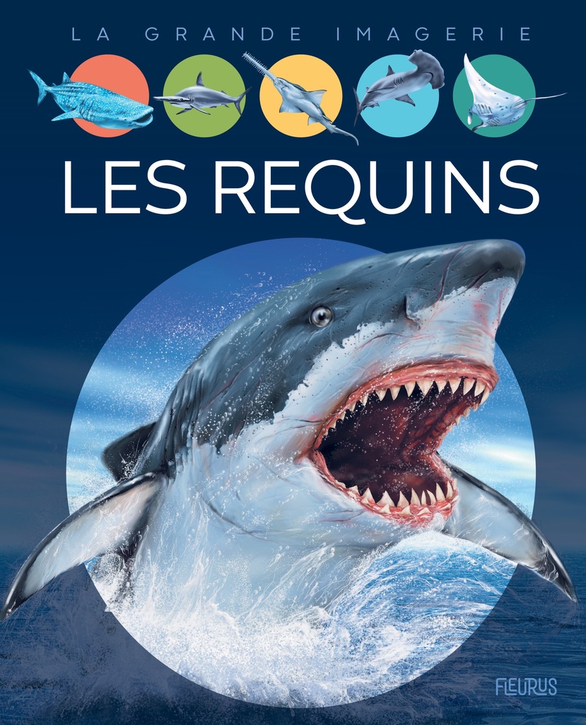 [9782215164784] Les requins