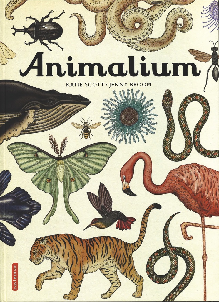 [9782203098923] Encyclopedium - Animalium