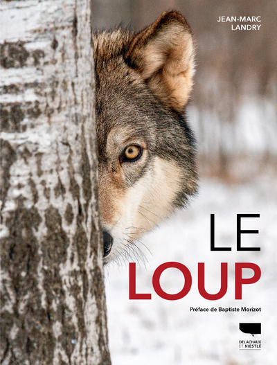 [9782603024539] Le Loup