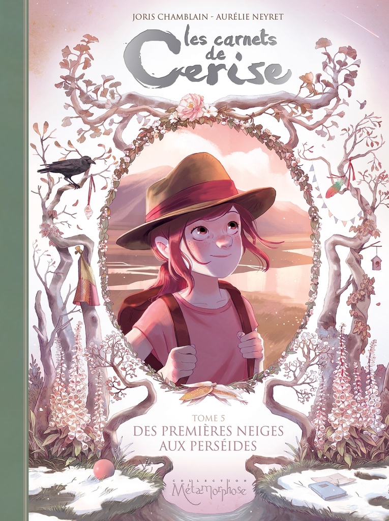[9782302064928] Les Carnets de Cerise T05 - Des premières neiges aux perséides