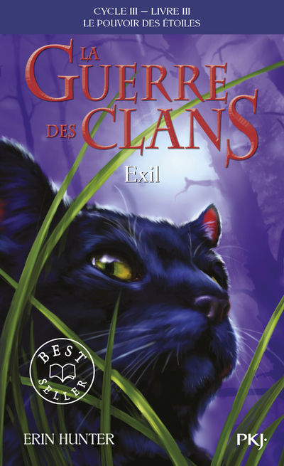 [9782266293884] La guerre des clans - Cycle III : Le pouvoir des étoiles - Tome 3 Exil -poche-