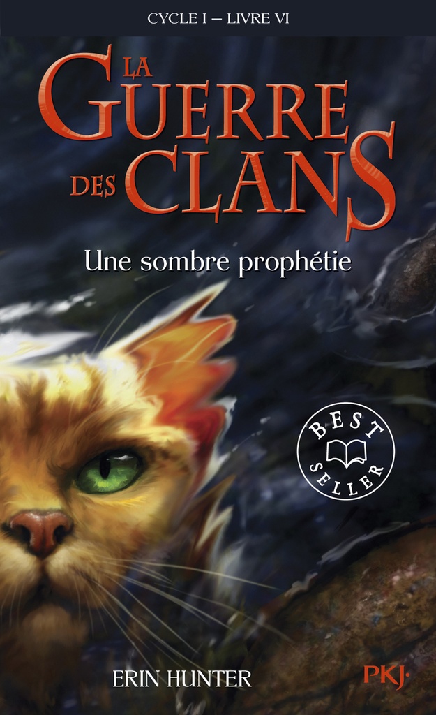 [9782266208178] La guerre des clans - Cycle I - Tome 6 Une sombre prophétie -poche-