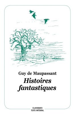 [9782211304597] HISTOIRES FANTASTIQUES