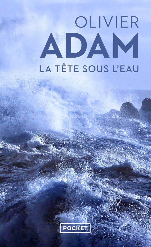 [9782266296205] La Tête sous l'eau