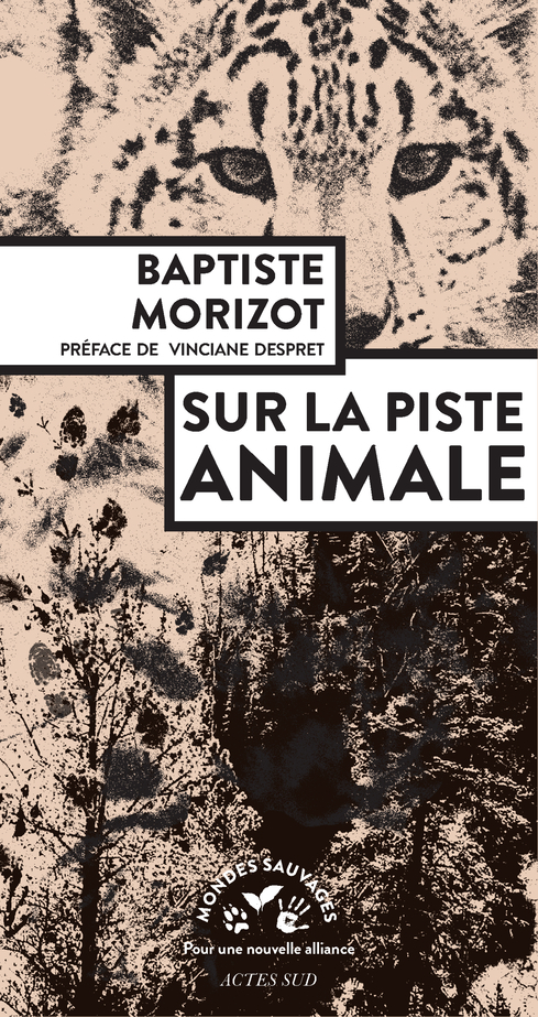 [9782330092511] Sur la piste animale