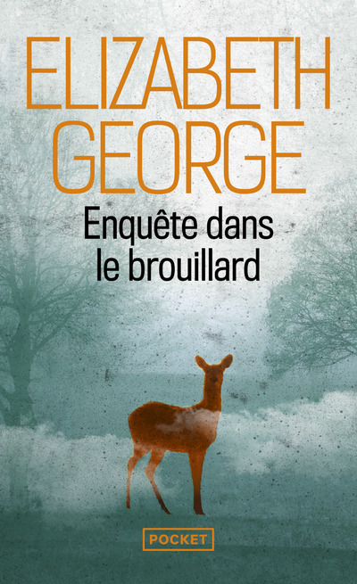[9782266288873] Enquête dans le brouillard