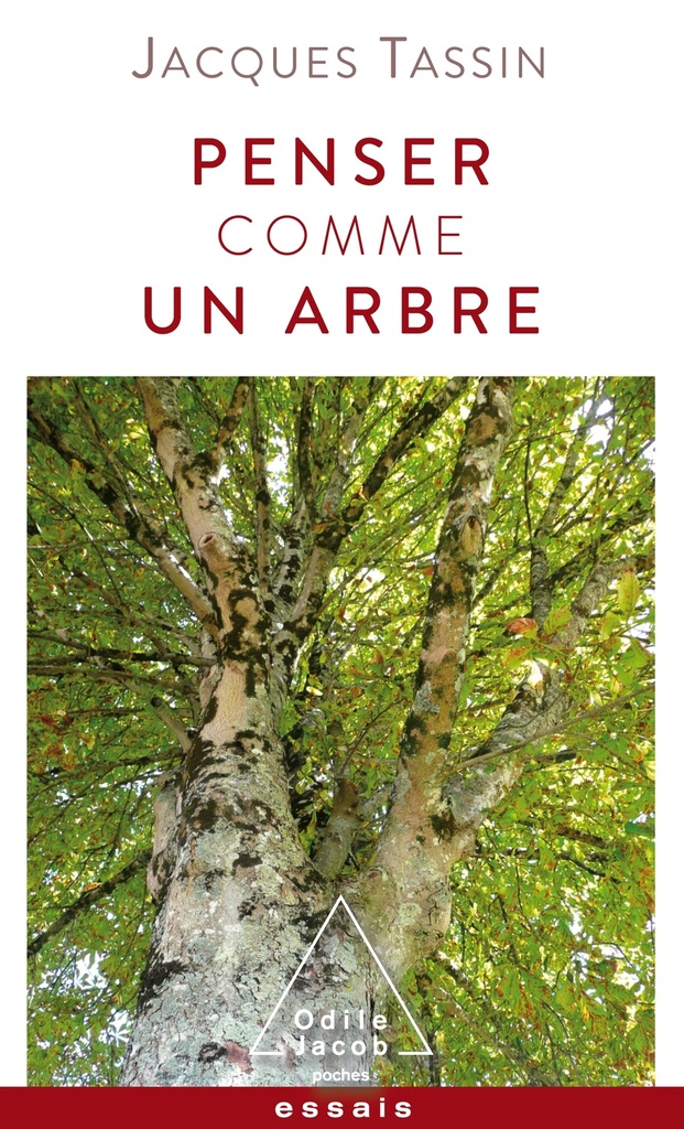 [9782738151254] Penser comme un arbre