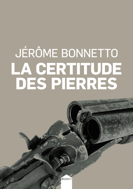 [9782360841134] La certitude des pierres