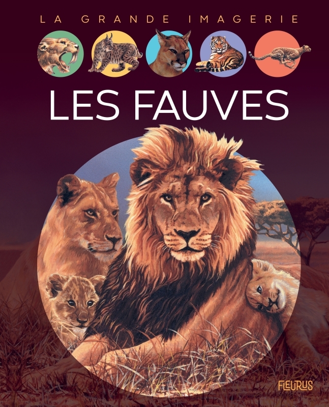 [9782215164753] Les fauves