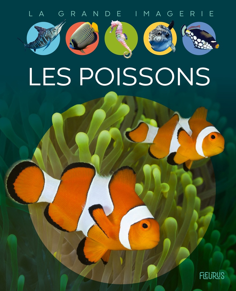 [9782215164296] Les poissons