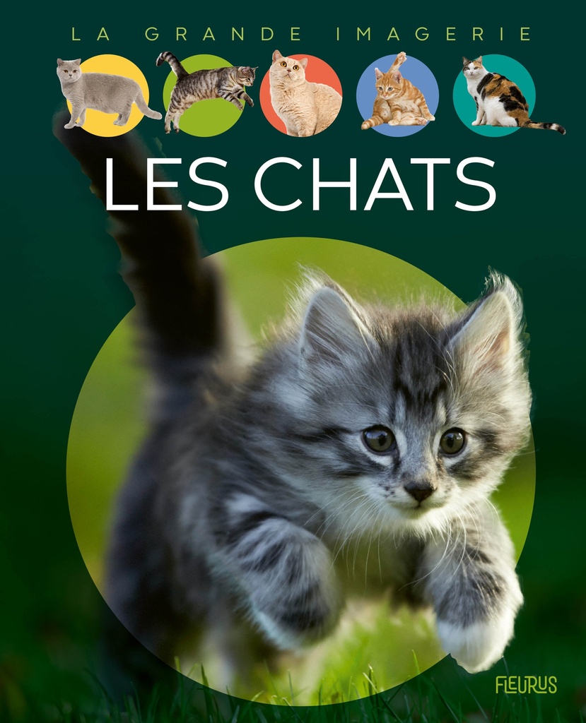 [9782215158226] Les chats