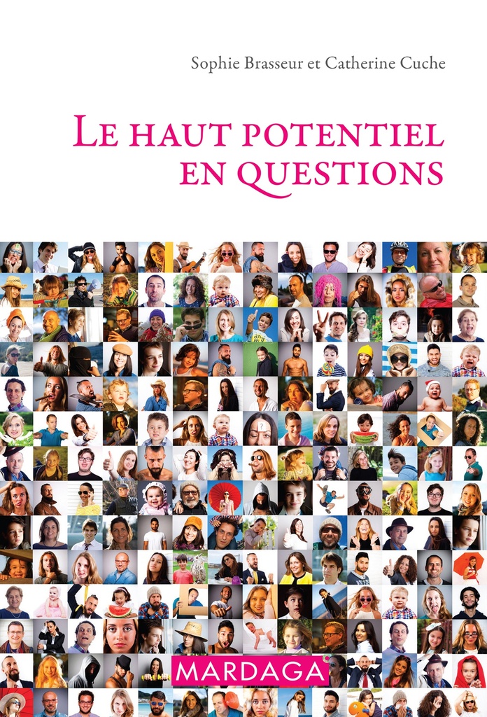 [9782804704094] Le haut potentiel en questions