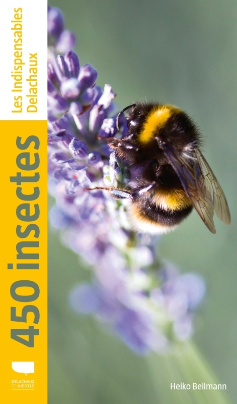 [9782603025697] 450 insectes