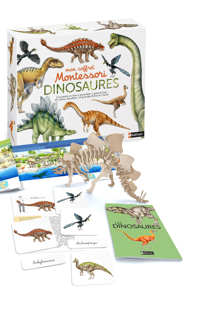 [9782092789544] Mon coffret Montessori des dinosaures