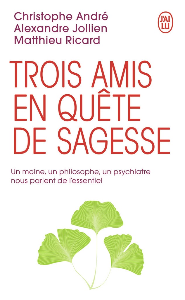 [9782290166529] Trois amis en quête de sagesse