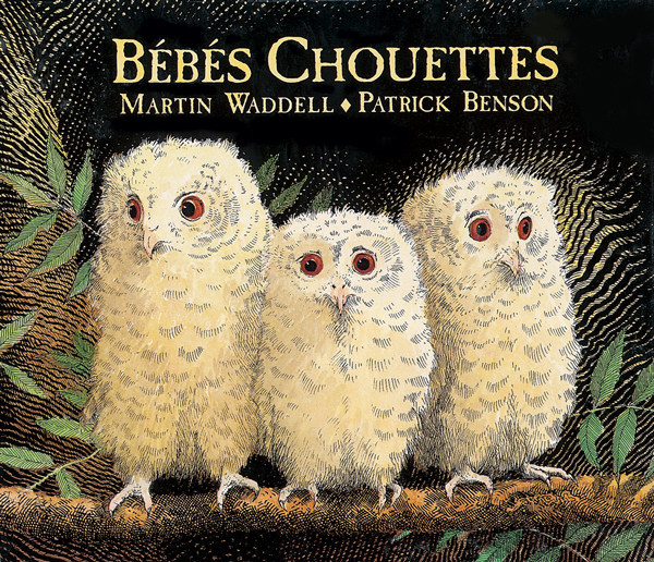 [9782211017718] Bébés Chouettes