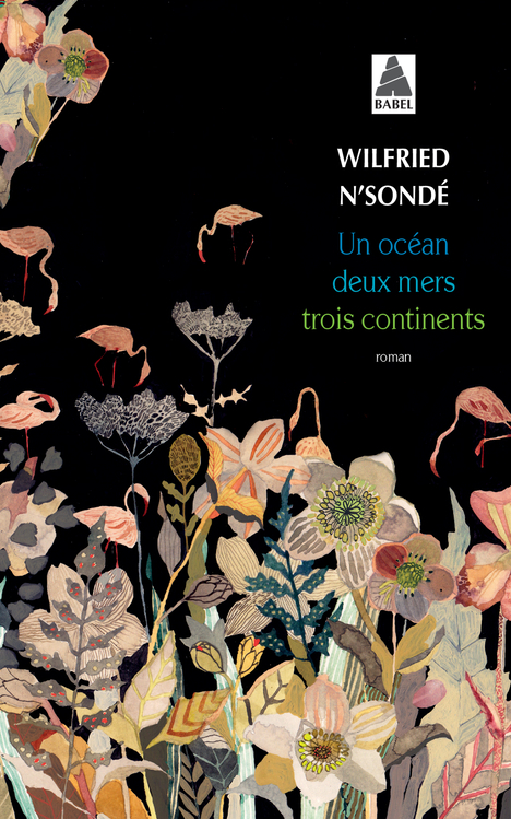 [9782330130787] Un océan, deux mers, trois continents