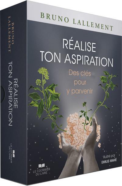 [9782702920664] Coffret Réalise ton aspiration - Des clés pour y parvenir