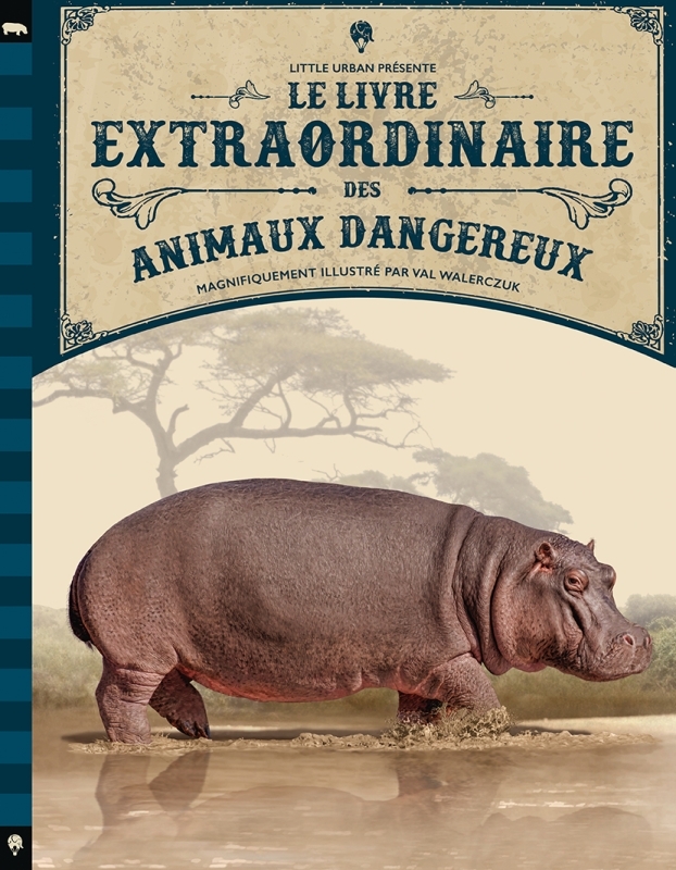 [9782374081786] Le Livre extraordinaire des animaux dangereux