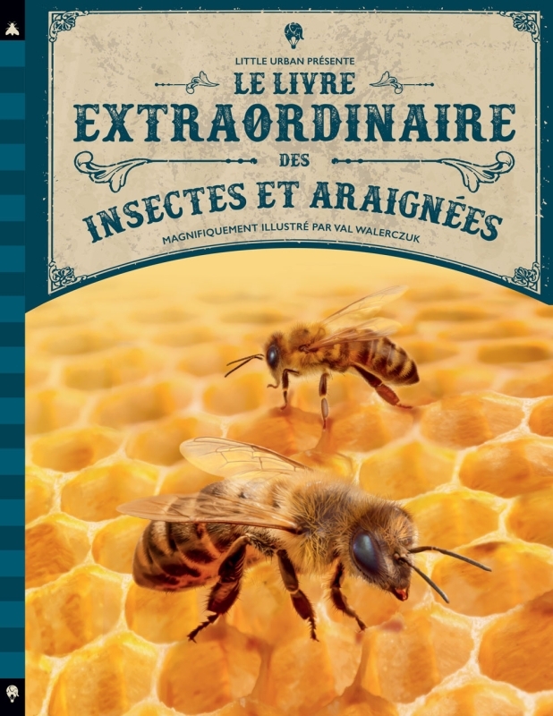 [9782374085227] Le Livre extraordinaire des insectes et araignées