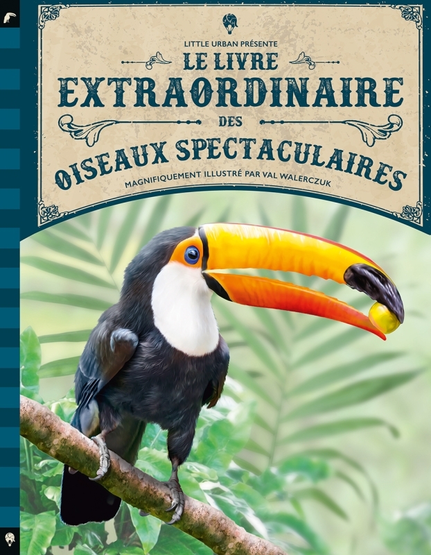 [9782374083407] Le Livre extraordinaire des oiseaux spectaculaires
