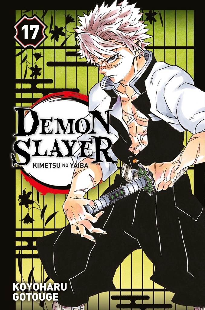 [9782809496987] Demon Slayer T17