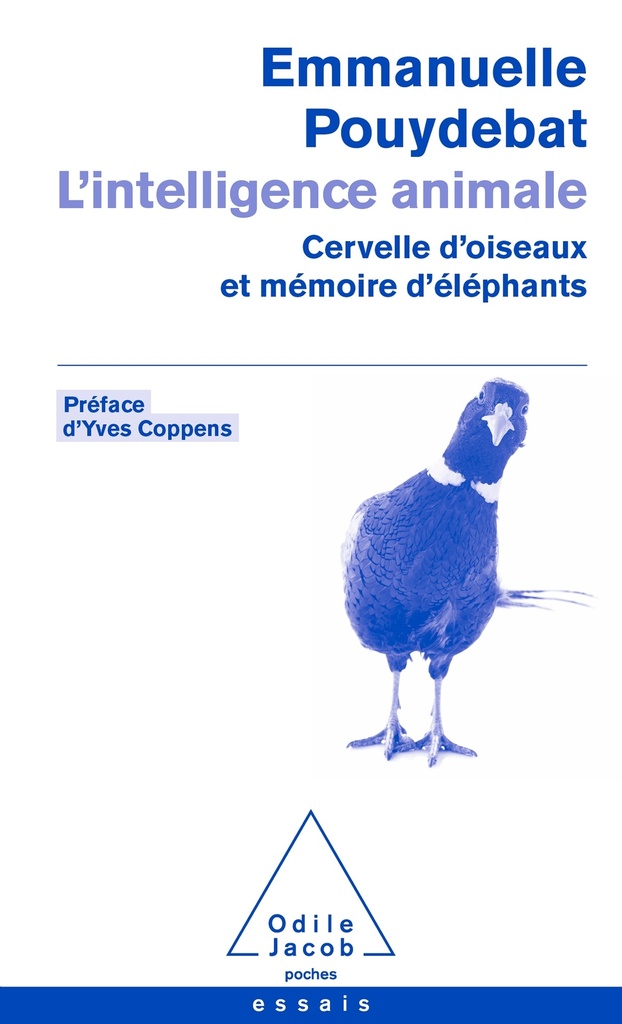 [9782738156402] L'Intelligence animale (2021)