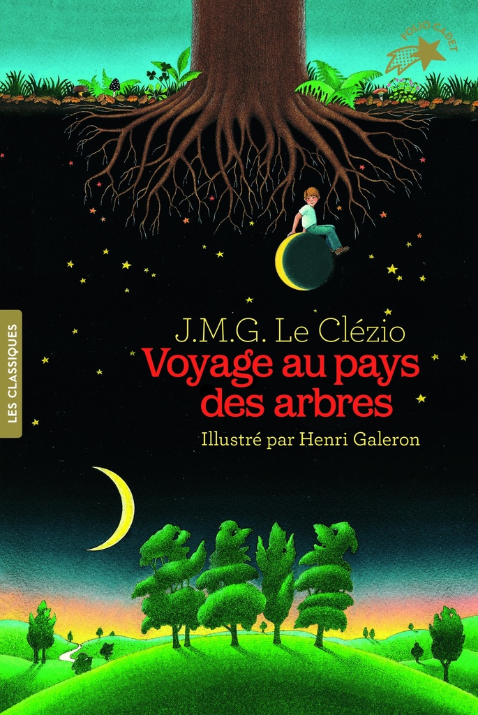 [9782075103749] Voyage au pays des arbres