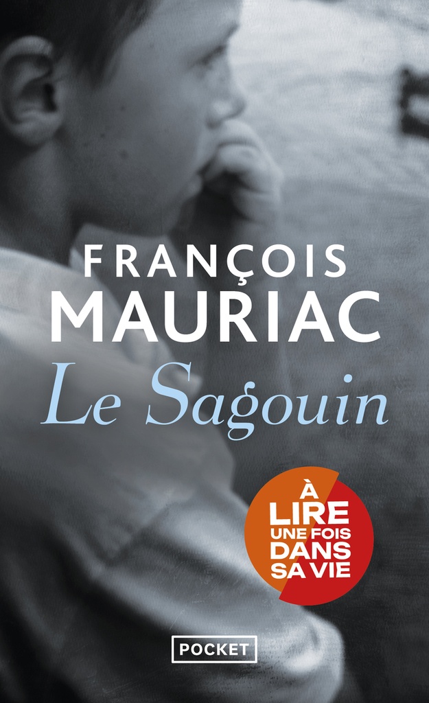 [9782266023139] Le sagouin