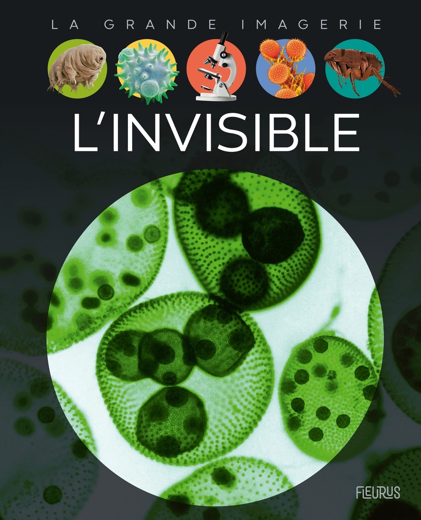 [9782215159131] L'invisible