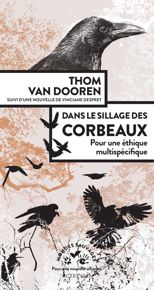 [9782330160333] Dans le sillage des corbeaux