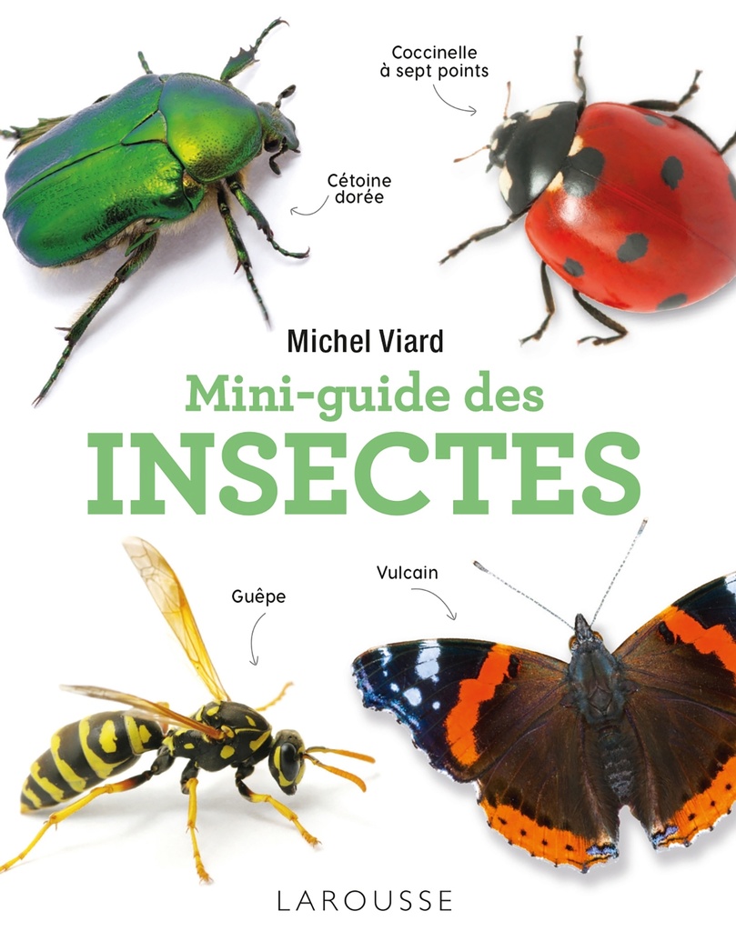 [9782036012905] Mini-guide des insectes