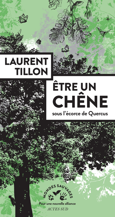 [9782330144951] Être un chêne