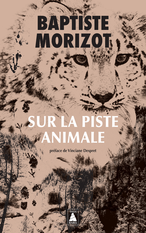 [9782330152482] Sur la piste animale