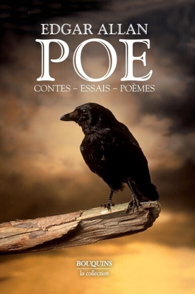 [9782221125366] Contes, essais, poèmes - nouvelle édition