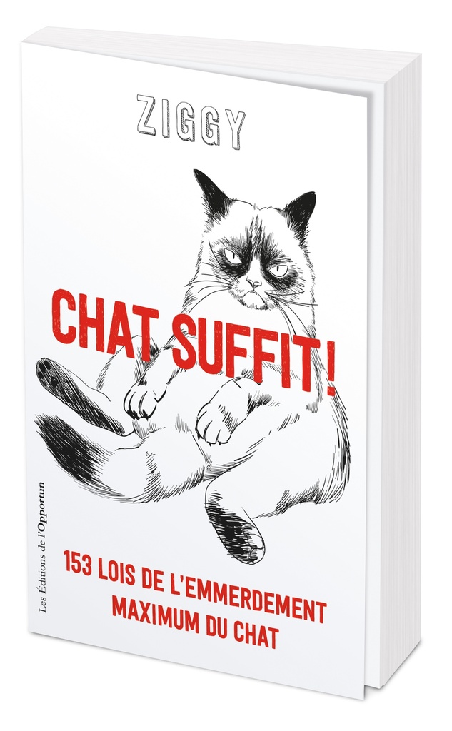 Chat suffit ! 153 lois de l'emmerdement maximum du chat