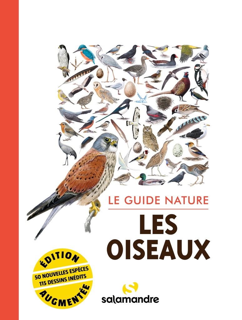 [9782889584857] Le guide nature les oiseaux