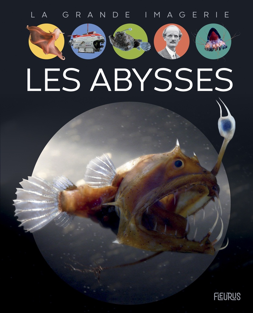 [9782215174868] Les abysses