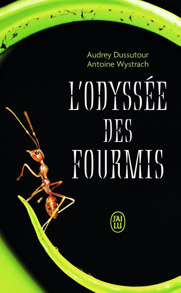 [9782290382356] L'odyssée des fourmis