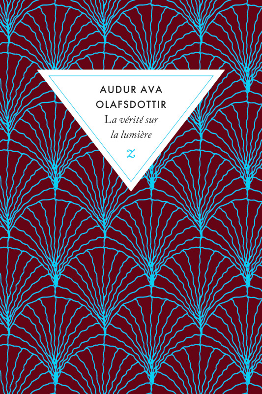 [9791038700642] La vérité sur la lumière