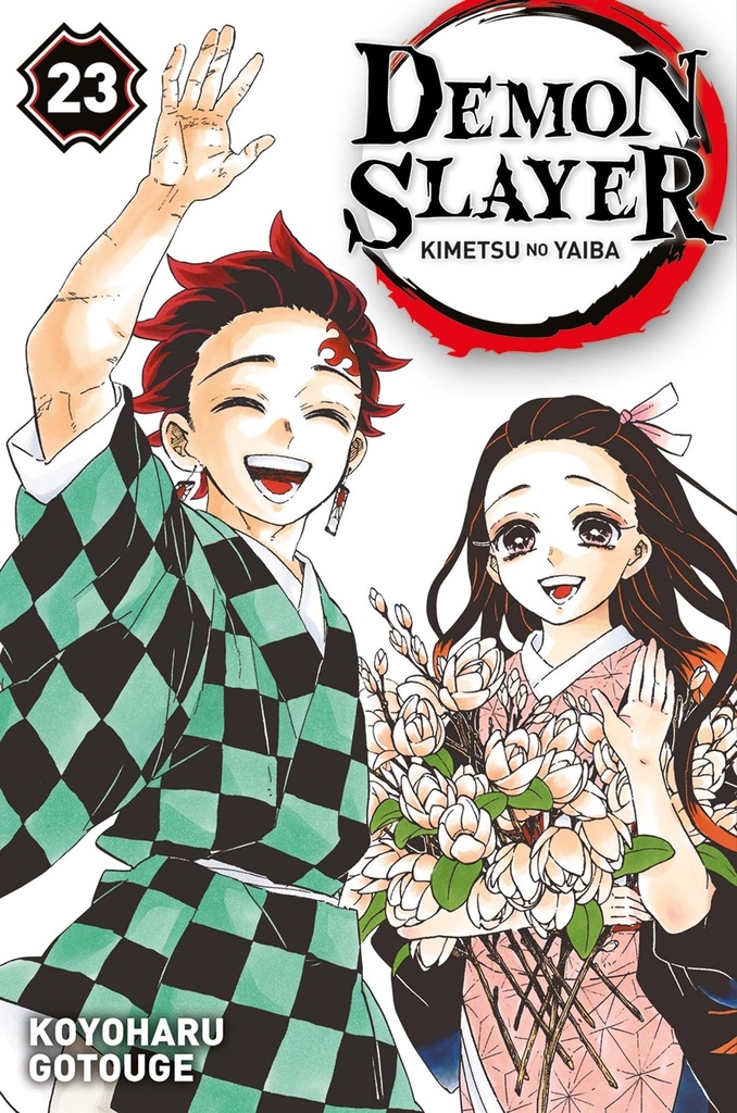Demon Slayer T23